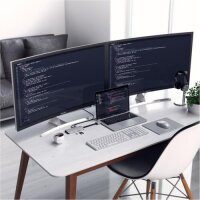 Satechi Type-C Dual Multimedia Adapter für MacBooks - Silber