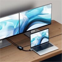 Satechi Type-C Dual zu HDMI DUAL 4K 60Hz Adapter - Silber