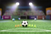 Sphero Mini - der App-gesteuerte Roboterball - Soccer
