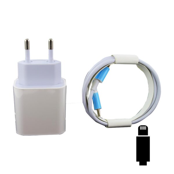 Cyoo Ladegerät PD01 Typ C mit Kabel USC-C zu Lightning - Weiss