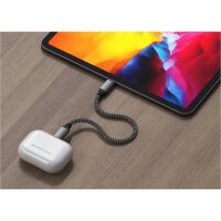 Satechi Type-C to Lightning Cable 25cm - Space Gray (Grau)
