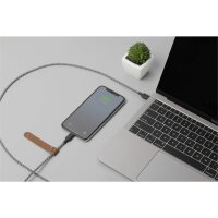 Native Union Belt Cable USB-C auf Lightning - 1,2m - Zebra