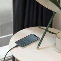 Native Union Belt Cable USB-C auf Lightning - 3m - Cosmos (Schwarz)