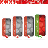 DISPLEX Full Cover Panzerglas (10H) mit Eco-Montagerahmen für Apple iPhone 13 Pro Max