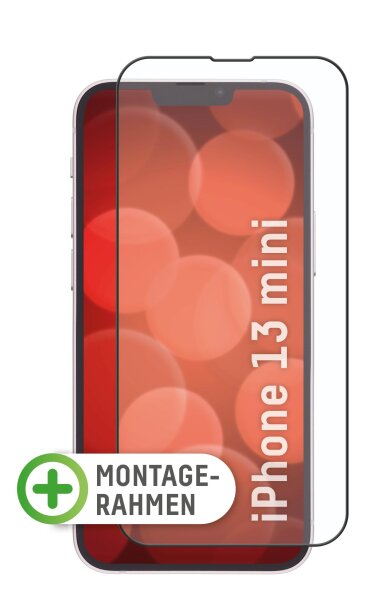 DISPLEX 3in1 UltraCare Panzerglas (10H) mit Eco-Montagerahmen für Apple iPhone 13 Pro Max
