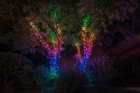 Twinkly Smarte Lichterkette STRINGS mit 600 5mm LED RGBW, Kabel, 48m, WiFi, Gen II, IP44