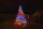 Twinkly Smarte Lichterkette STRINGS mit 600 5mm LED RGBW, Kabel, 48m, WiFi, Gen II, IP44