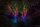 Twinkly Smarte Lichterkette STRINGS mit 600 5mm LED RGBW, Kabel, 48m, WiFi, Gen II, IP44