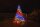 Twinkly Smarte Lichterkette STRINGS mit 600 5mm LED RGBW, Kabel, 48m, WiFi, Gen II, IP44