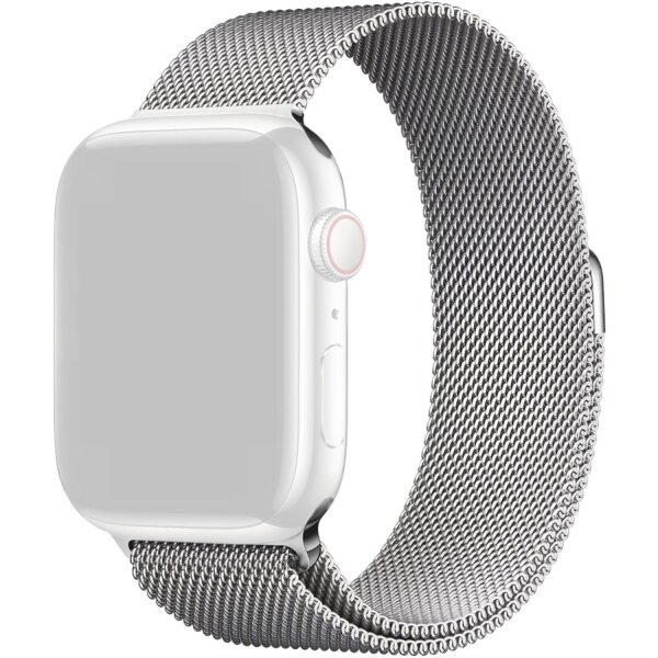 Decoded Milanaise Traction Strap Titanium Armband für Apple Watch 38/40/41mm