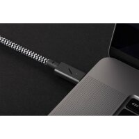 Native Union Belt Cable USB-C auf USB-C Pro - 2,4m - Zebra - 240W